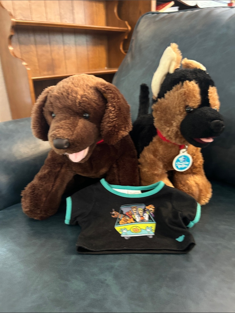 Build-A-Bear Dogs with Scooby-Doo Shirt